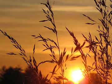PUBG，骷髅套——游戏里的独特时尚象征