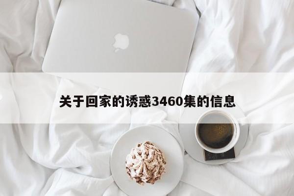 关于回家的诱惑3460集的信息