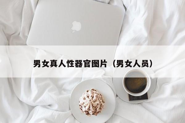 男女真人性器官图片（男女人员）