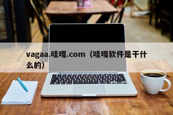 vagaa.哇嘎.com（哇嘎软件是干什么的）