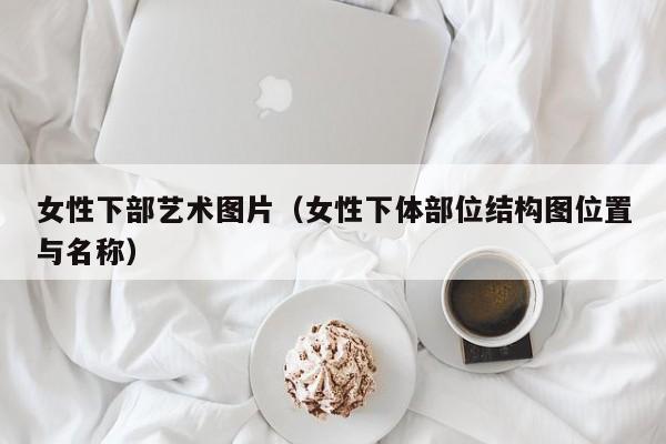 女性下部艺术图片（女性下体部位结构图位置与名称）