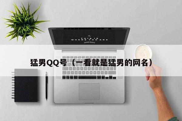 猛男QQ号（一看就是猛男的网名）