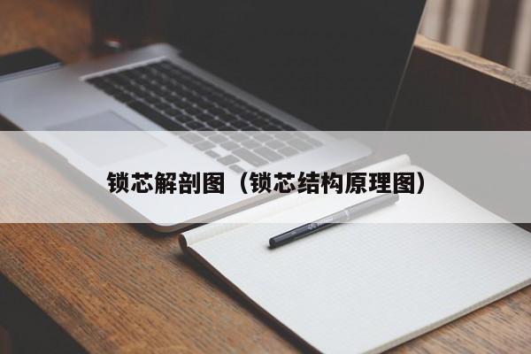 锁芯解剖图（锁芯结构原理图）