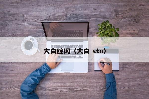 大白腚网（大白 stn）
