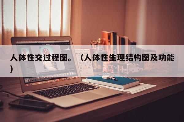 人体性交过程图。（人体性生理结构图及功能）