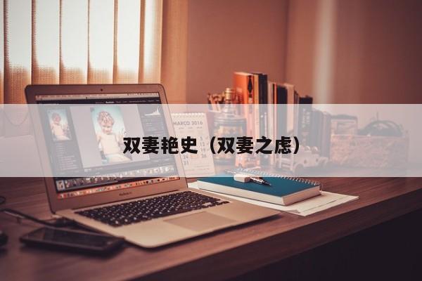 双妻艳史(双妻之虑)