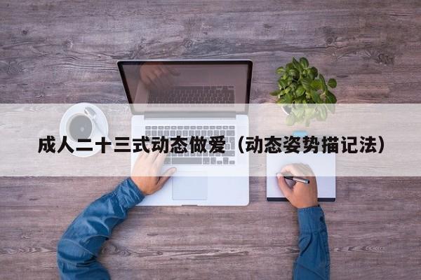 成人二十三式动态做爱（动态姿势描记法）