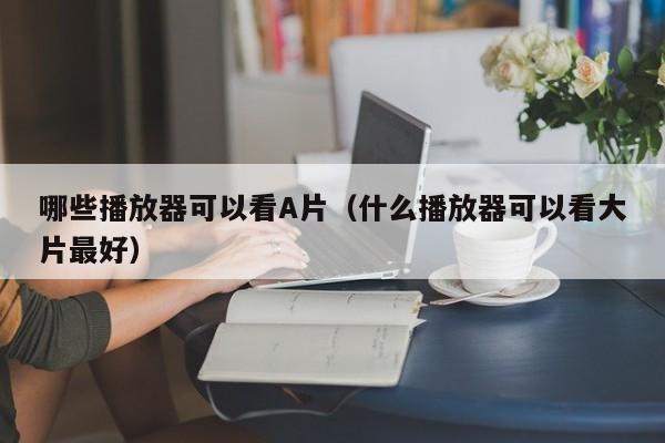 哪些播放器可以看A片（什么播放器可以看大片最好）