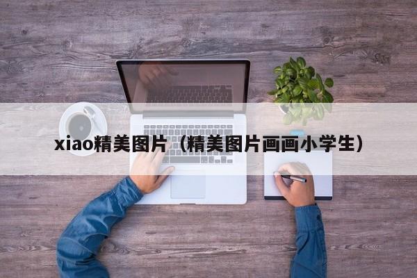 xiao精美图片（精美图片画画小学生）