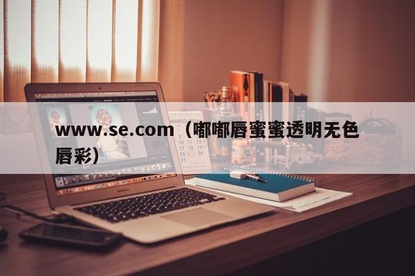 www.se.com（嘟嘟唇蜜蜜透明无色唇彩）