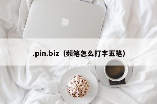 .pin.biz（频笔怎么打字五笔）
