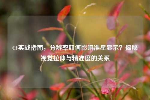CF实战指南，分辨率如何影响准星显示？揭秘视觉拉伸与精准度的关系