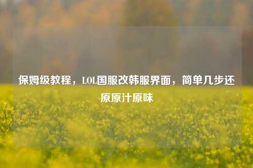 保姆级教程，LOL国服改韩服界面，简单几步还原原汁原味
