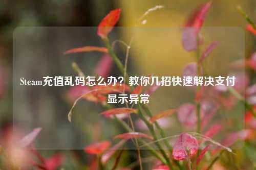 Steam充值乱码怎么办？教你几招快速解决支付显示异常