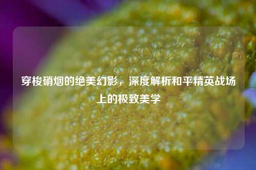 穿梭硝烟的绝美幻影，深度解析和平精英战场上的极致美学