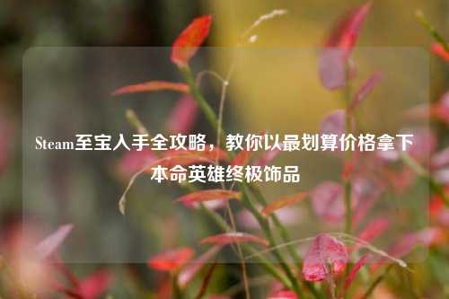 Steam至宝入手全攻略，教你以最划算价格拿下本命英雄终极饰品