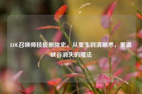 LOL召唤师技能删除史，从重生到清晰术，重温峡谷消失的魔法