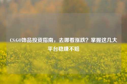CS:GO饰品投资指南，去哪看涨跌？掌握这几大平台稳赚不赔