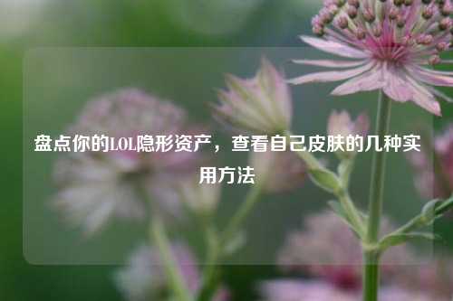 盘点你的LOL隐形资产，查看自己皮肤的几种实用方法