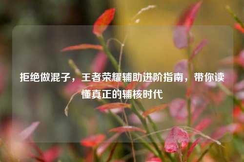 拒绝做混子，王者荣耀辅助进阶指南，带你读懂真正的辅核时代