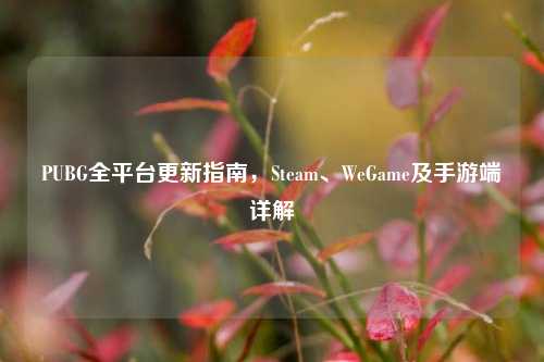PUBG全平台更新指南，Steam、WeGame及手游端详解