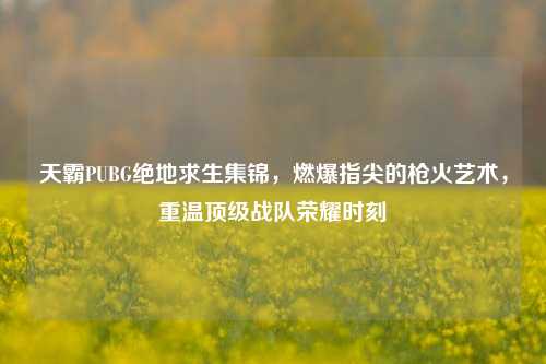 天霸PUBG绝地求生集锦，燃爆指尖的枪火艺术，重温顶级战队荣耀时刻