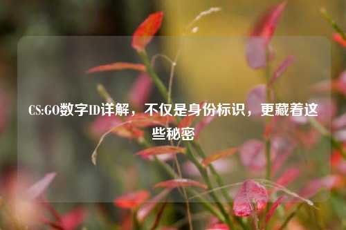 CS:GO数字ID详解，不仅是身份标识，更藏着这些秘密