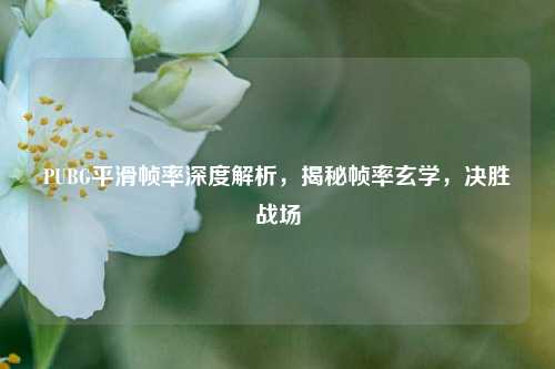 PUBG平滑帧率深度解析，揭秘帧率玄学，决胜战场