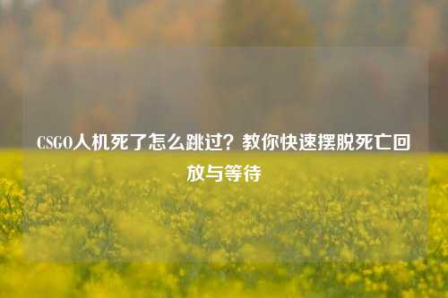 CSGO人机死了怎么跳过？教你快速摆脱死亡回放与等待