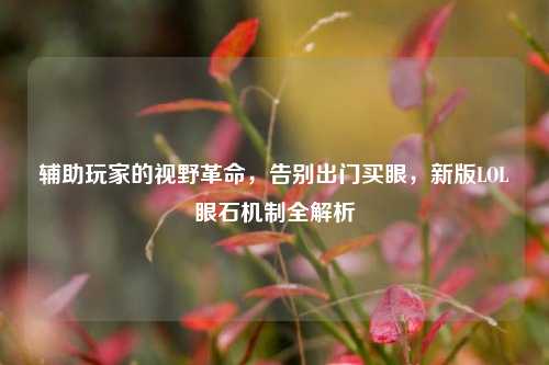 辅助玩家的视野革命，告别出门买眼，新版LOL眼石机制全解析