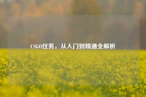 CSGO任务，从入门到精通全解析