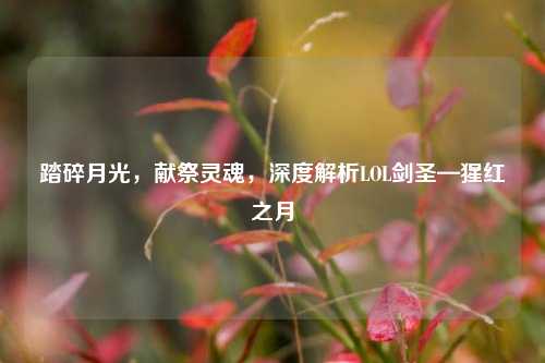 踏碎月光，献祭灵魂，深度解析LOL剑圣—猩红之月