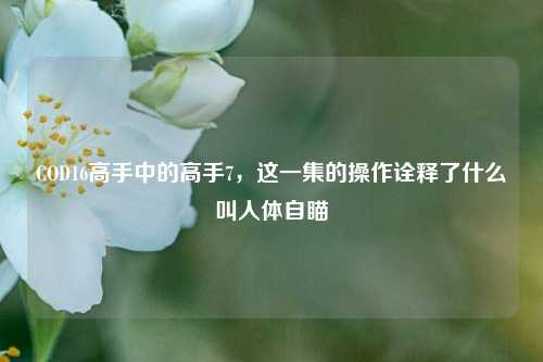 COD16高手中的高手7，这一集的操作诠释了什么叫人体自瞄