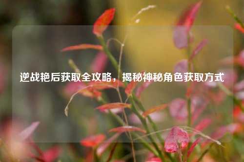 逆战艳后获取全攻略，揭秘神秘角色获取方式