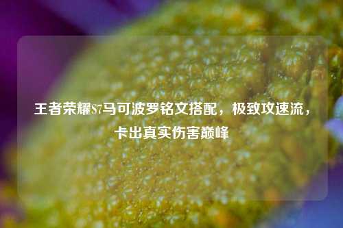 王者荣耀S7马可波罗铭文搭配，极致攻速流，卡出真实伤害巅峰