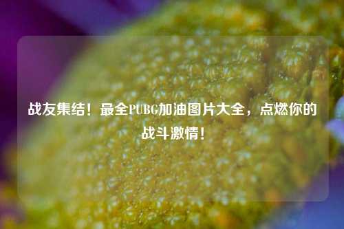 战友集结！最全PUBG加油图片大全，点燃你的战斗激情！
