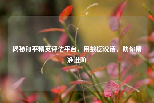 揭秘和平精英评估平台，用数据说话，助你精准进阶