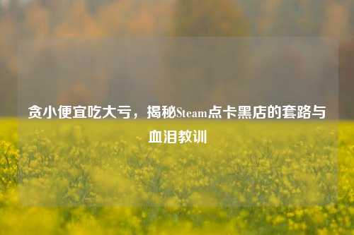 贪小便宜吃大亏，揭秘Steam点卡黑店的套路与血泪教训