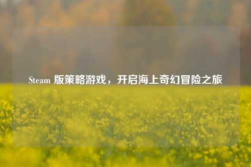 Steam 版策略游戏，开启海上奇幻冒险之旅