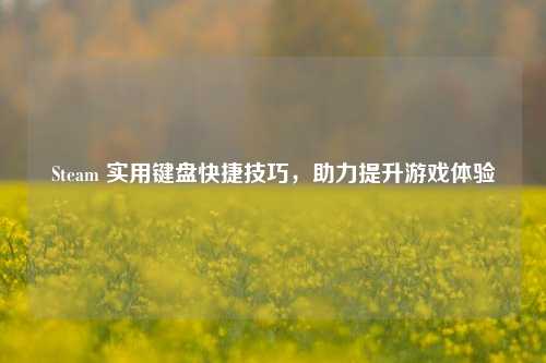 Steam 实用键盘快捷技巧，助力提升游戏体验