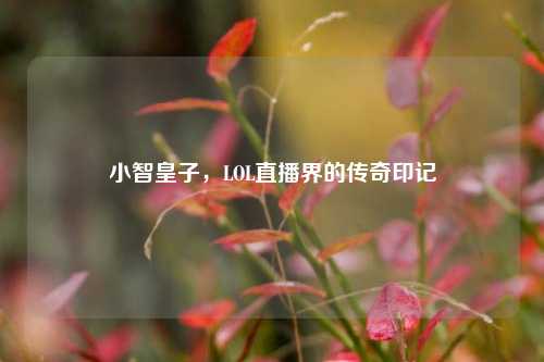 小智皇子，LOL直播界的传奇印记