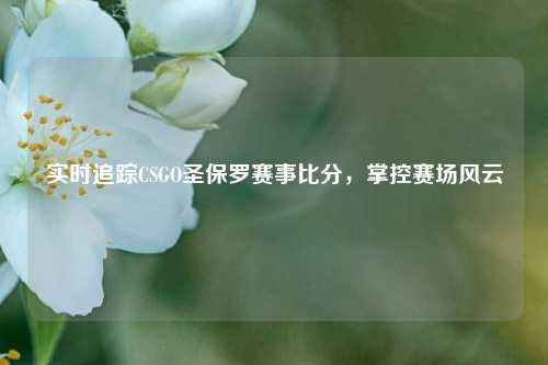实时追踪CSGO圣保罗赛事比分，掌控赛场风云