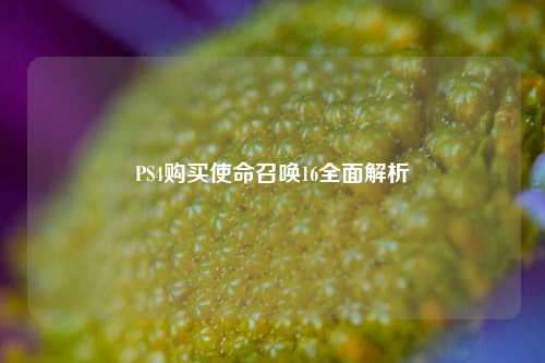 PS4购买使命召唤16全面解析