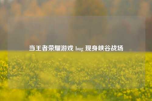 当王者荣耀游戏 bug 现身峡谷战场