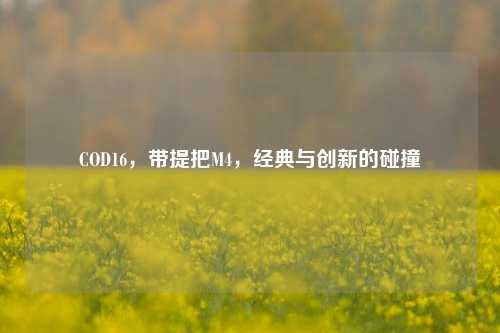 COD16，带提把M4，经典与创新的碰撞