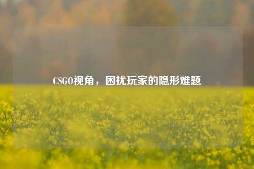CSGO视角，困扰玩家的隐形难题