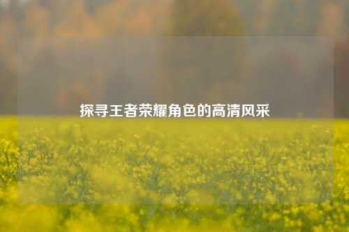 探寻王者荣耀角色的高清风采