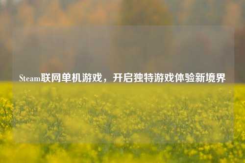 Steam联网单机游戏，开启独特游戏体验新境界