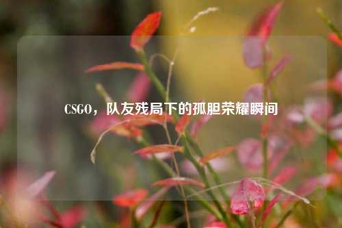 CSGO，队友残局下的孤胆荣耀瞬间
