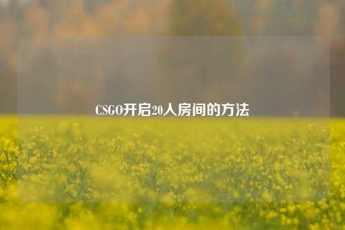 CSGO开启20人房间的方法